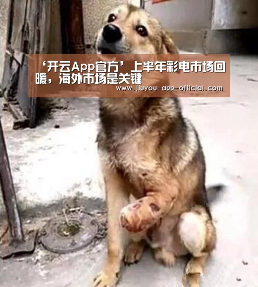 ‘开云App官方’上半年彩电市场回暖,海外市场是关键(图3) 开云App官方官网