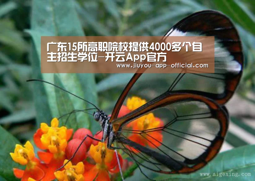 广东15所高职院校提供4000多个自主招生学位-开云App官方(图2) 开云App官方官网