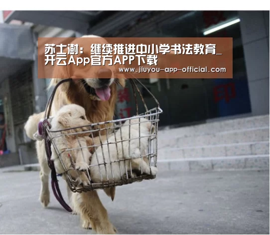 <h1>苏士澍:继续推进中小学书法教育_开云App官方APP下载(图1) 开云App官方