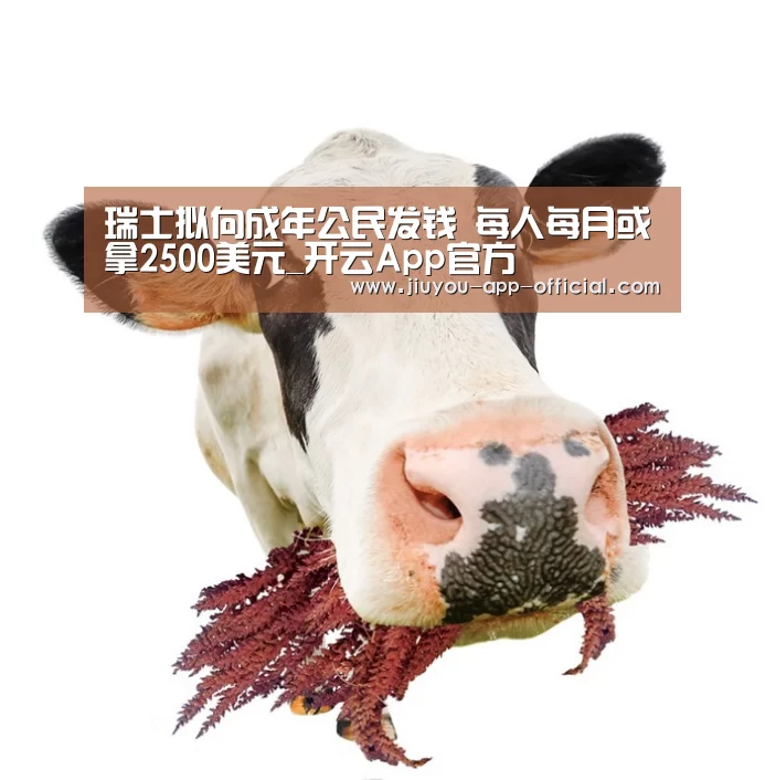 瑞士拟向成年公民发钱 每人每月或拿2500美元_开云App官方(图2) 开云App官方APP下载