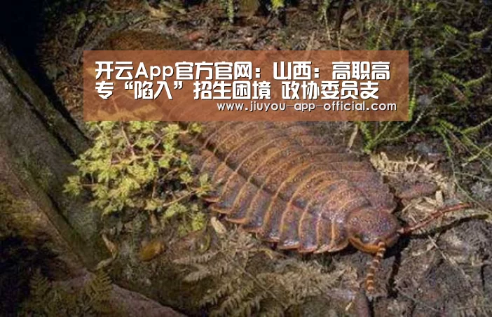 开云App官方APP下载